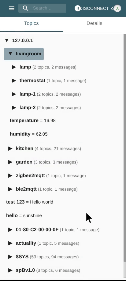 View Message Details