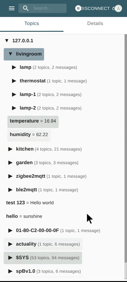 View Message Details