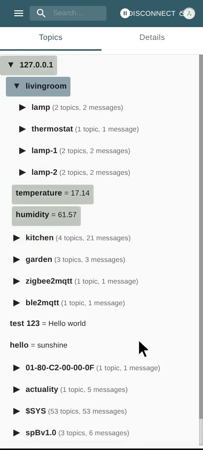 View Message Details