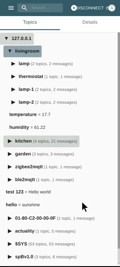 View Message Details