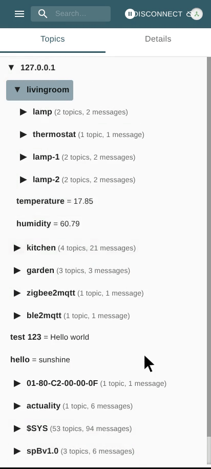 View Message Details