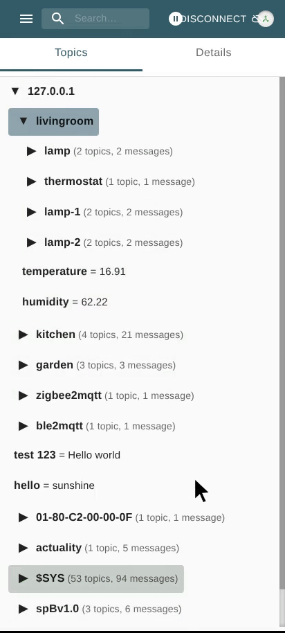 View Message Details