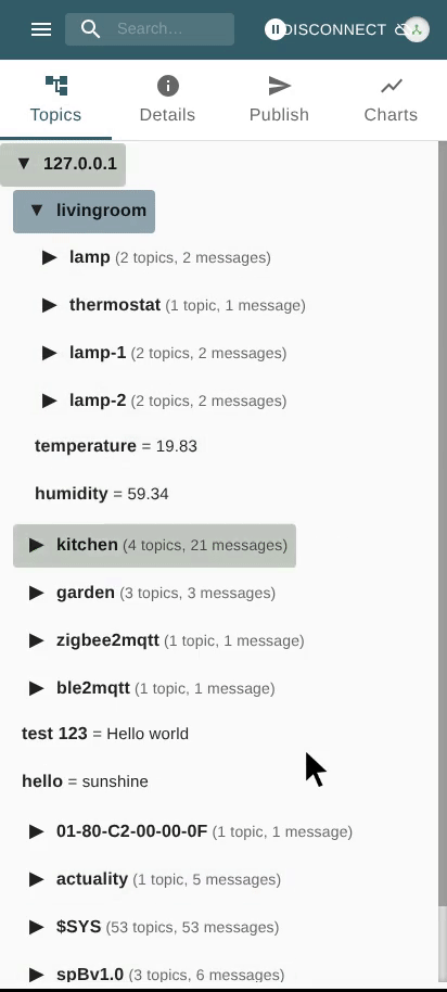 View Message Details