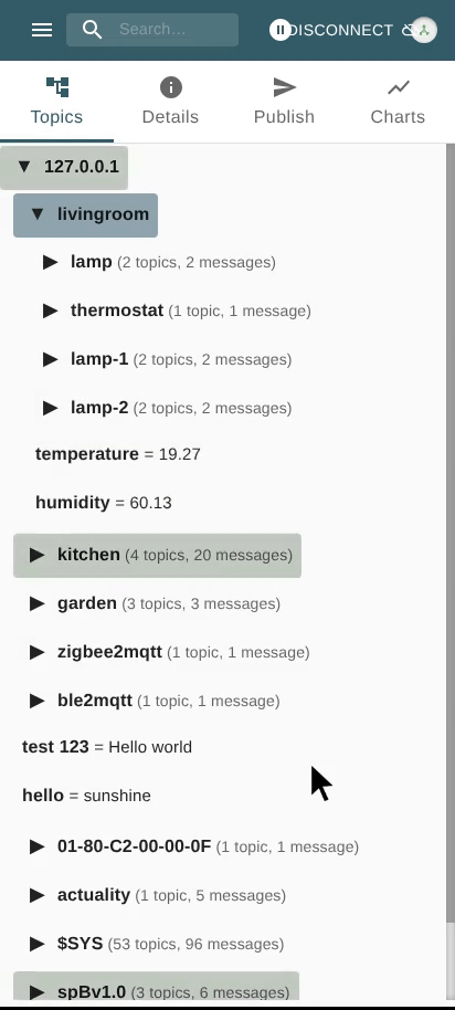 View Message Details
