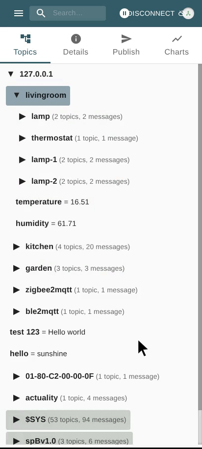 View Message Details