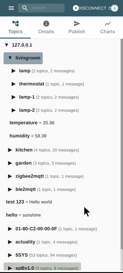 View Message Details