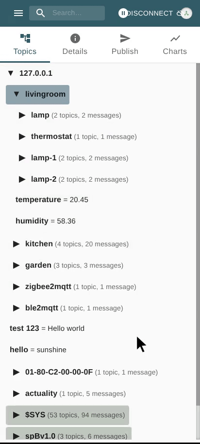 View Message Details