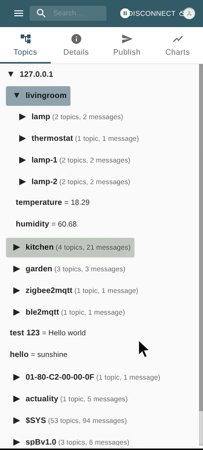 View Message Details