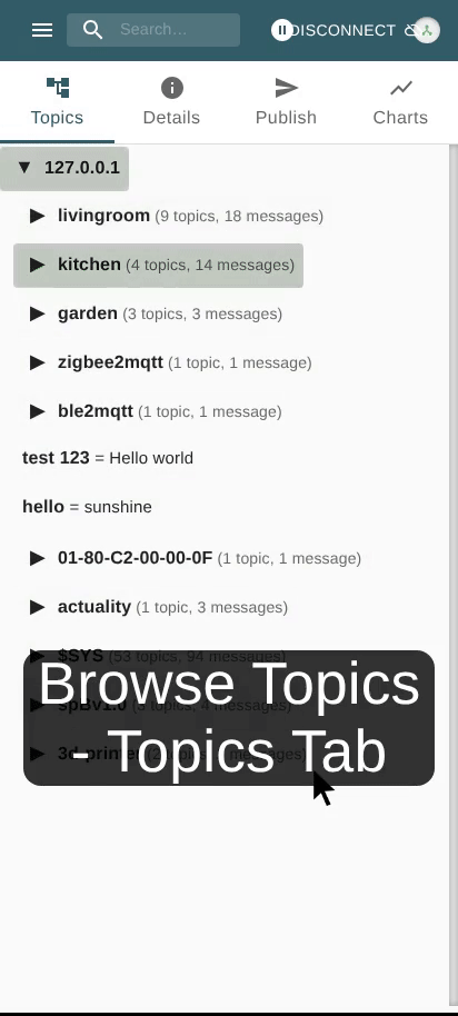 View Message Details