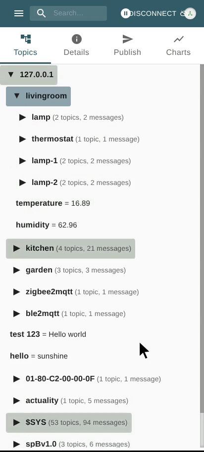 View Message Details