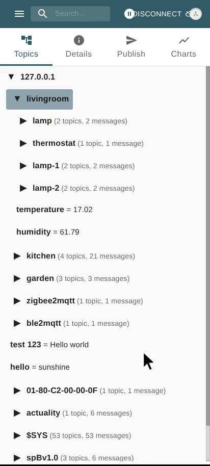 View Message Details