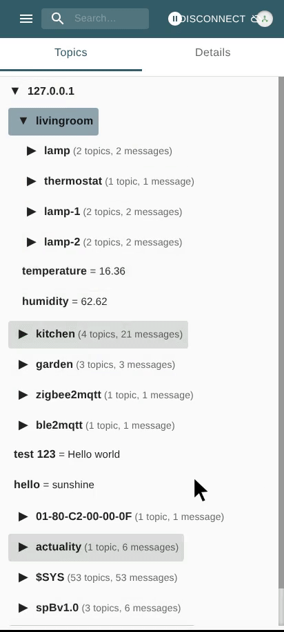 View Message Details